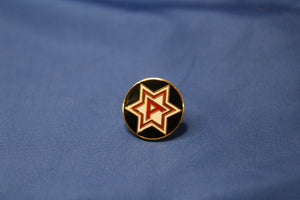 6th Army Hat Pin