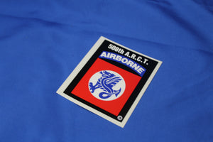 508TH AIRBORNE RCT DECAL